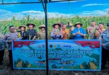 Polres Banggai Panen Raya Jagung
