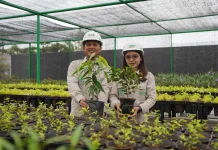 IMIP Dorong Kepedulian Lingkungan lewat Lomba RTH Sambut HLHS 2026