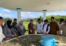 Donggala Uji Coba Budidaya Udang Vaname di Pekarangan Rumah