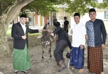 Idul Adha 1447 H, Untad Sembelih 85 Sapi dan 5 Kambing