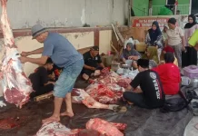 Masjid Agung Baiturrahim Lolu Palu Sembelih Enam Ekor Sapi
