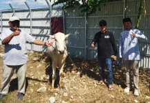 DLH Sulteng Sembelih Belasan Hewan Kurban, Sasar Petugas Sampah dan Kaum Duafa