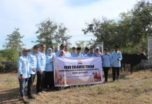 Kurban Lintas Agama di Sulteng Jadi Bukti Nyata Toleransi