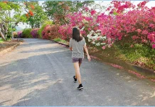 Kebiasaan Jalan Kaki Punya Banyak Manfaat Kesehatan