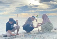 Komunitas Super Teen Mangrove Heroes Kali Ini Sasar Pesisir Barat Donggala