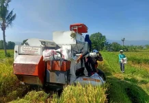 Distan Pemkab Cirebon Sebut Modernisasi Tani Mampu Tekan Biaya Produksi