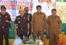 Panen Raya Jagung di Desa Lobu Mandiri, Perkuat Ketahanan Pangan Nasional