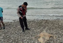 Jasad tanpa Identitas Ditemukan di Pesisir Pantai Talise