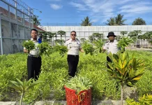 Pembinaan Kemandirian di Rutan Donggala Hasilkan 96 Kilogram Kangkung