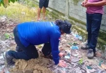 BMKG Pasang Lima Seismograf Portabel di Sulteng untuk Pantau Sesar Aktif