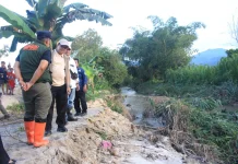 Pemkab Parigi Moutong Gerak Cepat Tangani Banjir Torue, Sawah Siap Panen Terdampak