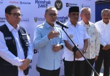 Menko Pangan Pastikan Harga Gabah Tak Boleh di Bawah Rp6.500