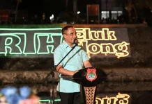 Meriahkan HUT ke-66 Banggai, Drone Show Terangi Langit Teluk Lalong