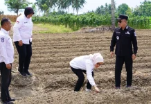 Pemkot Palu Dorong Program Kelurahan Menanam Jadi Penggerak Ekonomi Masyarakat
