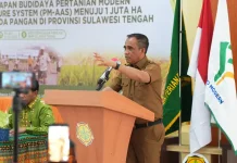 Anwar Hafid Targetkan Produktivitas Padi Sulteng 6 Ton per Hektare