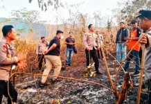 Kapolresta Banggai Pimpin Pemadaman Karhutla di Pegunungan Batu Hitam