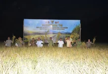 Pangdam 23 Palakawira Panen Raya di Sigi Dukung Ketahanan Pangan Nasional