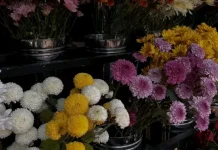 Pemilihan Bunga dalam Ruangan Disesuaikan dengan Karakter dan Fungsi Ruang