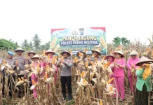 Dukung Pangan Nasional, Polres Parigi Moutong Panen Jagung dan Serahkan Alsintan