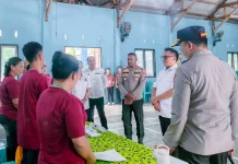 Amankan Pilkades Serentak di 54 Desa, Polres Morowali Utara Terjunkan 500 Personel