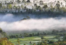 Cagar Alam Morowali, Tempat Indah untuk Jiwa Petualang