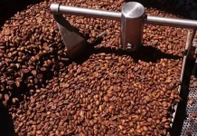 Kopi Lokal Sulawesi Tawarkan Cita Rasa Istimewa