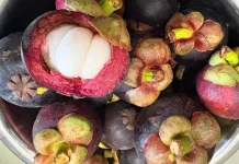 Xanthone pada Manggis Bantu Lawan Radikal Bebas