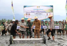 Bupati Parimo Canangkan Tanam Padi Perdana, PM-AAS Dorong Modernisasi Pertanian