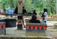 Komunitas Lokal MZW Tanam Pohon Selamatkan Ikan Endemik Sungai Saluopa