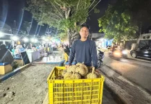 Lima Puluh Ribu Nikmati Durian tanpa Batas