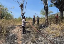 Sinergi Tiga Pilar dan Damkar Berhasil Cegah Meluasnya Kebakaran Lahan di Buluri