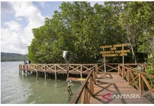 Wisata Mangrove Hadirkan Pesona Pesisir Sulteng