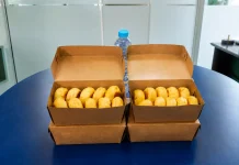 Bakpia dan Perjalanan Kulinernya di Indonesia