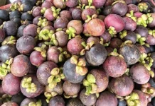 Pedagang Kaki Lima Mulai Ramai Jajakan Buah Lokal