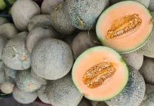 Buah-Buahan Segar Menjamur di Kota Palu