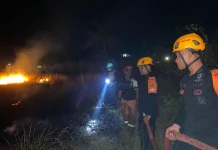 Brimob Bantu Damkar Padamkan Kebakaran Lahan di Tentena