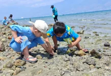 Generasi Muda Tondo Antusias Lestarikan Budaya Pesisir di HUT RI