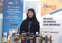 Digitalisasi Bantu UMKM Perluas Pasar hingga Luar Daerah