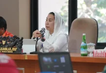 Wawali Palu Tekankan Mitigasi Bencana dalam Perencanaan Pembangunan