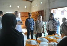 Stok Beras Aman, Pemkot Palu Perketat Pemantauan Harga di Pasar