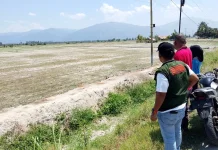 Kekeringan Landa Parimo, 1.400 Hektare Lahan Pertanian dan Perkebunan Terdampak