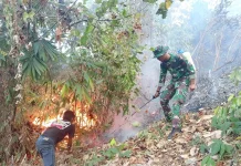 Kodam XXIII/Palaka Wira Bantu Padamkan Karhutla di Donggala