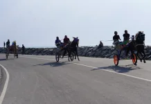 Pemkot Palu Dukung Dokar Race Jadi Atraksi Wisata Kelurahan Talise