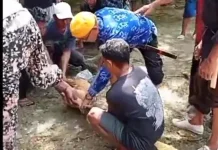 Ritual Mora’a Binangga Paneki Jadi Sarana Pulihkan Hubungan Sosial