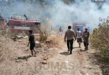 Kebakaran Lahan 1 Hektare Terjadi di Kabonena, Api Berhasil Dipadamkan
