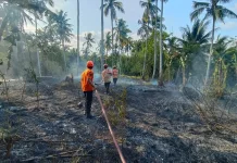 BPBD Donggala Imbau Warga Waspadai Karhutla saat Musim Kemarau