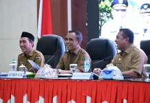 Gubernur Minta Camat dan Kades Petakan Wilayah Belum Teraliri Listrik