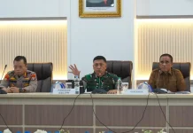Pangdam : Sinergi Lintas Sektor Sangat Penting dalam Penanganan Karhutla Sulteng