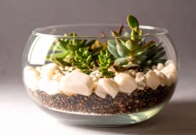 Terrarium, Berkebun Mini yang Makin Diminati
