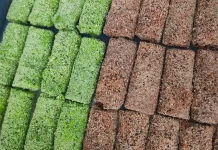 Risol Makin Digemari, Varian Rasa Kekinian Jadi Pilihan